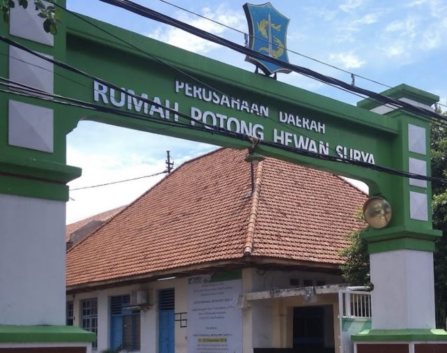 Tarif Jasa Potong Murah, Rumah Potong Hewan Surabaya Merugi